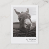 Directe foto - Friendly Donkey Visitekaartje (Voorkant)