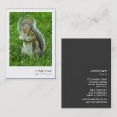 Directe foto - Grijze eekhoorn Visitekaartje (Voorkant / Achterkant)