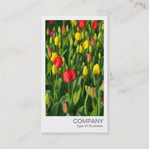 Directe foto - kleurrijke Tulpen Visitekaartje