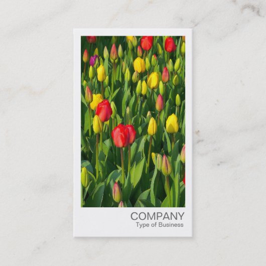 Directe foto - kleurrijke Tulpen Visitekaartje (Voorkant)