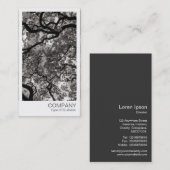 Directe foto - Magnolia Trees Visitekaartje (Voorkant / Achterkant)