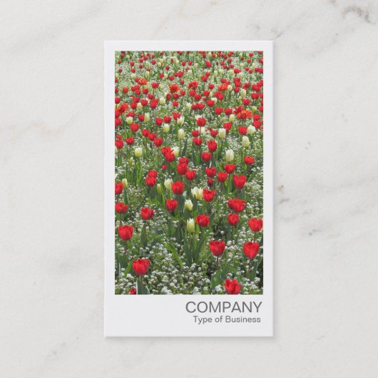 Directe foto van Tulips Visitekaartje (Voorkant)