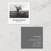 Directe fotostijl - Bedrijf - Donkey Vierkante Visitekaartje (Voorkant / Achterkant)