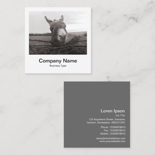 Directe fotostijl - Bedrijf - Donkey Vierkante Visitekaartje (Voorkant / Achterkant)