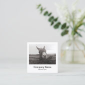 Directe fotostijl - Bedrijf - Donkey Vierkante Visitekaartje (Staand voorkant)