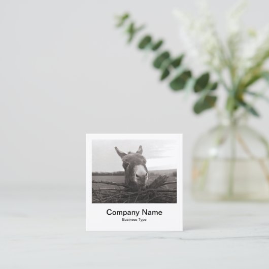 Directe fotostijl - Bedrijf - Donkey Vierkante Visitekaartje (Staand voorkant)