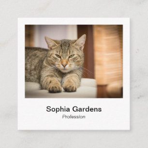 Directe fotostijl - Tabby Cat Vierkante Visitekaartje
