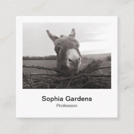 Directe fotostijl - Vriendelijke Donkey Vierkante Visitekaartje