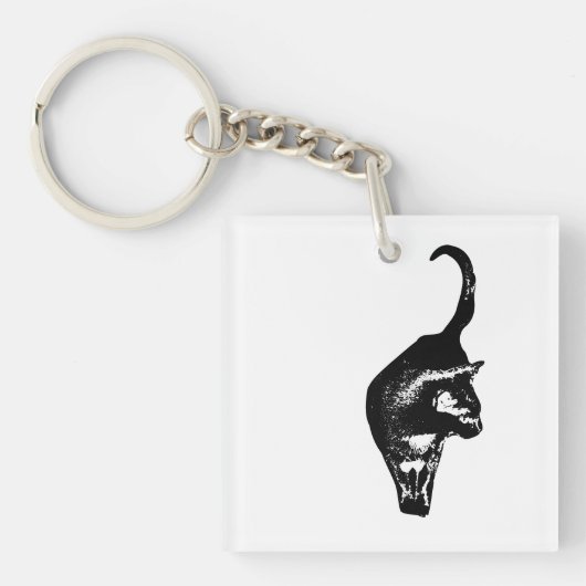 Directe kattencharme sleutelhanger (voorkant)