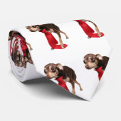 Directeur Chihuahua Stropdas (Opgerold)