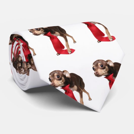 Directeur Chihuahua Stropdas (Opgerold)