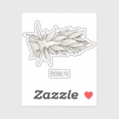 Dirona albolineata nudibranch cartoon sticker (Vel)