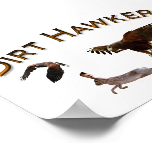 Dirt Hawker Poster (Hoek)