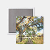 Dirt Paths Magneet (Voorkant / Achterkant)