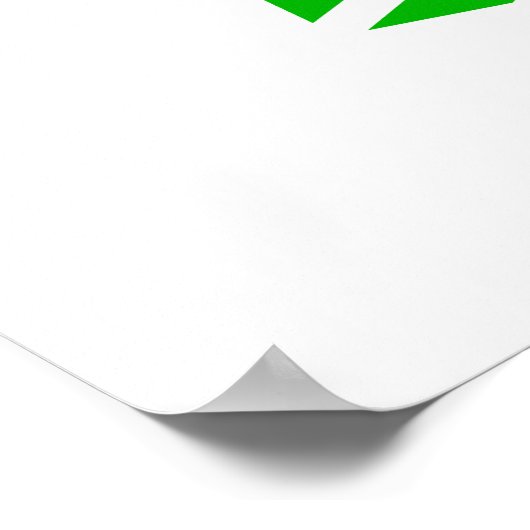 Dirt racing poster (Hoek)