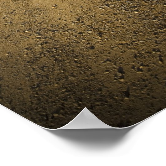 Dirt Road in Eagle, Alaska Poster (Hoek)