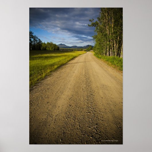 Dirt Road in Eagle, Alaska Poster (Voorkant)