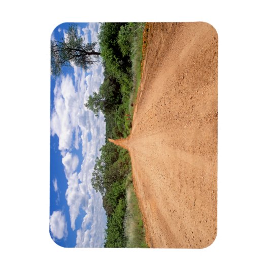 Dirt Road, Kruger National Park, Mpumalanga Magneet (Verticaal)