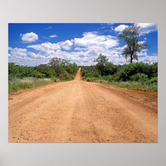 Dirt Road, Kruger National Park, Mpumalanga Poster (Voorkant)