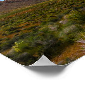 Dirt Road naar Red Rocks Poster (Hoek)