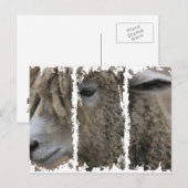 Dirty 3Tall Boxes Briefkaart (Voorkant / Achterkant)