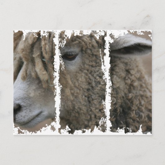 Dirty 3Tall Boxes Briefkaart (Voorkant)