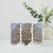 Dirty 3Tall Boxes Briefkaart (Staand voorkant)