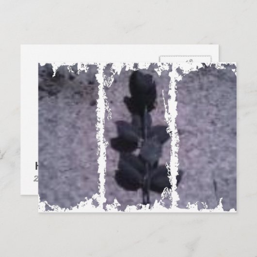 Dirty 3Tall Boxes Briefkaart (Voorkant / Achterkant)