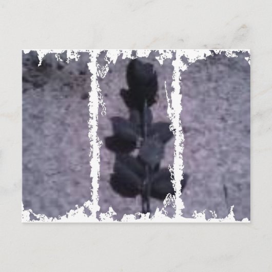 Dirty 3Tall Boxes Briefkaart (Voorkant)