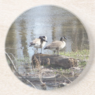 Dirty Bird Zandsteen Onderzetter