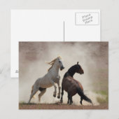 Dirty Business Briefkaart (Voorkant / Achterkant)