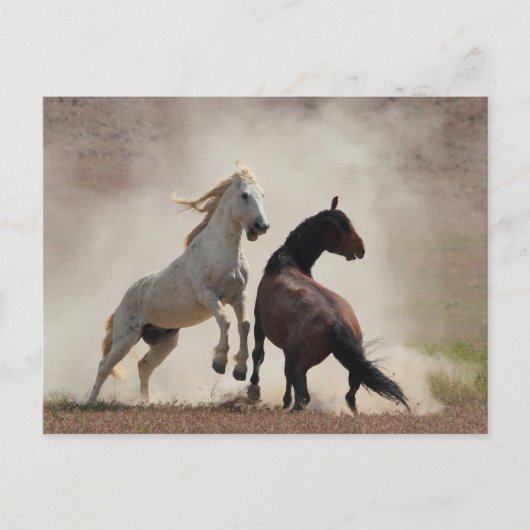 Dirty Business Briefkaart (Voorkant)