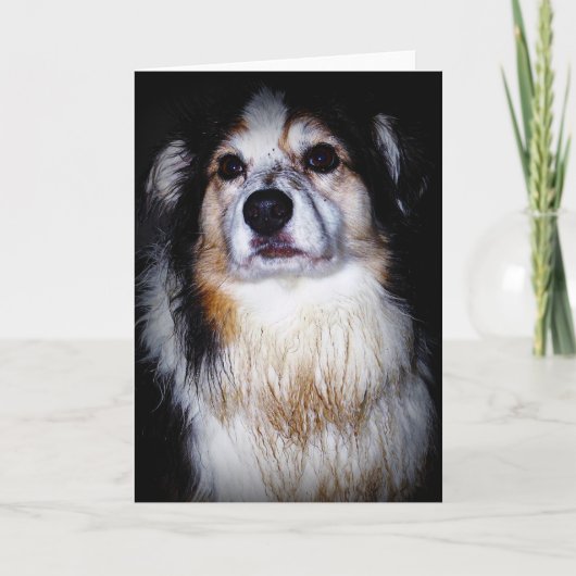 Dirty Digger Doggie Kaart (Voorkant)