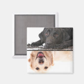 Dirty Dog Clean Dog Dishwasmachine Magnet (Voorkant / Achterkant)