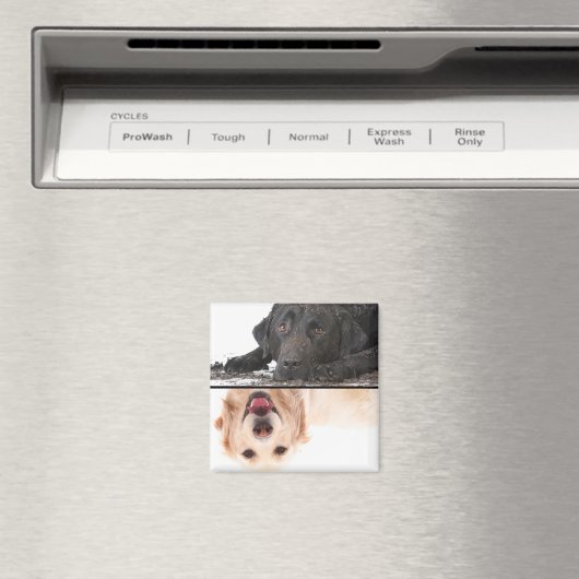 Dirty Dog Clean Dog Dishwasmachine Magnet (Insitu (Vaatwasser))