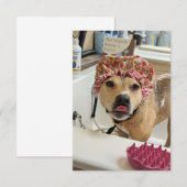 Dirty Dog Puppy Bad Tijd grappig kostuum notecard Bedankkaart (Voorkant / Achterkant)