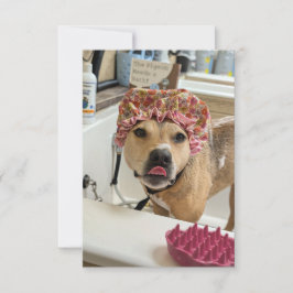Dirty Dog Puppy Bad Tijd grappig kostuum notecard Bedankkaart