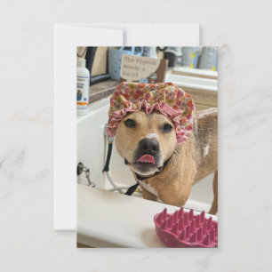 Dirty Dog Puppy Bad Tijd grappig kostuum notecard Bedankkaart