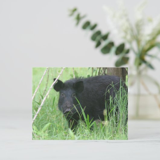 Dirty Nose Briefkaart (Staand voorkant)