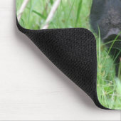 Dirty Nose Muismat (Hoek)