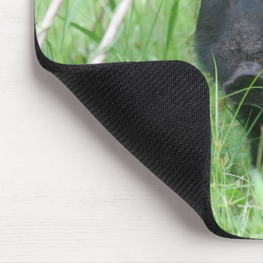 Dirty Nose Muismat (Hoek)