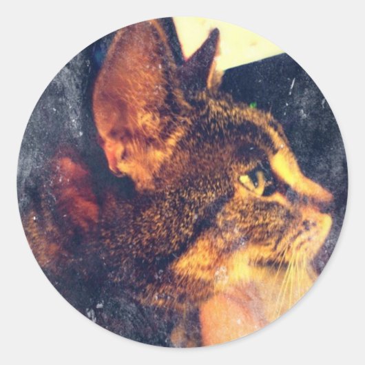 Dirty Profile Indigo Ronde Sticker (Voorkant)