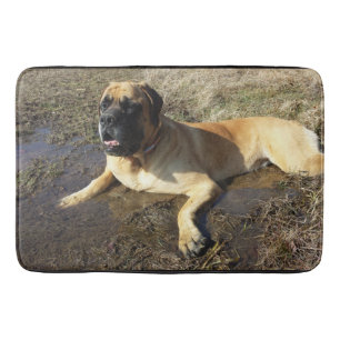 Dirty Schattig English Mastiff badmat