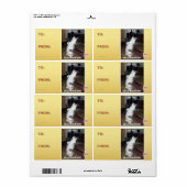 DIS is U Etiket (Full Sheet)