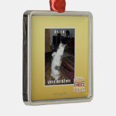 dis is u metalen ornament (Rechts)