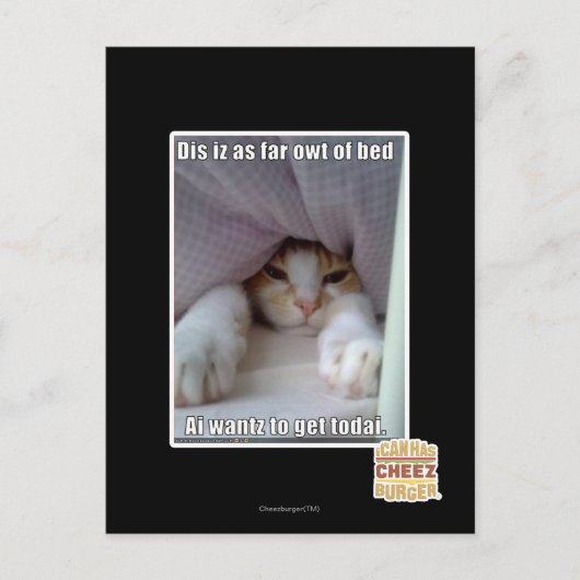 Dis is zo ver weg van bed. briefkaart (Voorkant)