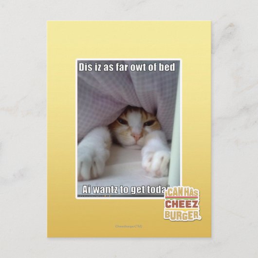 Dis is zo ver weg van bed. briefkaart (Voorkant)