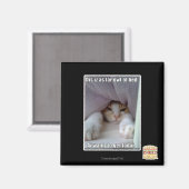 Dis is zo ver weg van bed. magneet (Voorkant / Achterkant)