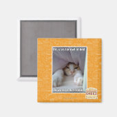 Dis is zo ver weg van bed. magneet (Voorkant / Achterkant)