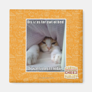 Dis is zo ver weg van bed. magneet